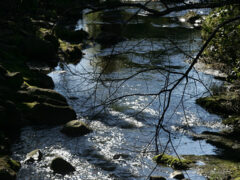 Sugar Daddy Definition – What Is A Sugar Daddy Anyway?